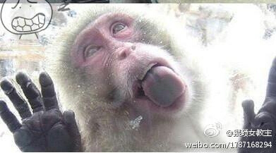 演员方子哥买房被骗 诉我爱我家索赔称没能力