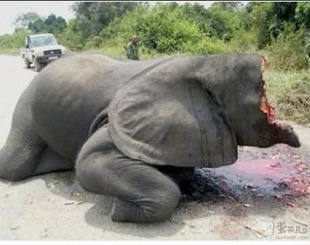 香港关爱基金50亿注资申请延期表决