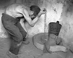 泰国欲将塑料废料变原油 每天提炼4500多万公