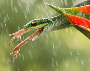 小学五年级女生见男网友 遭强奸拍裸照勒索财