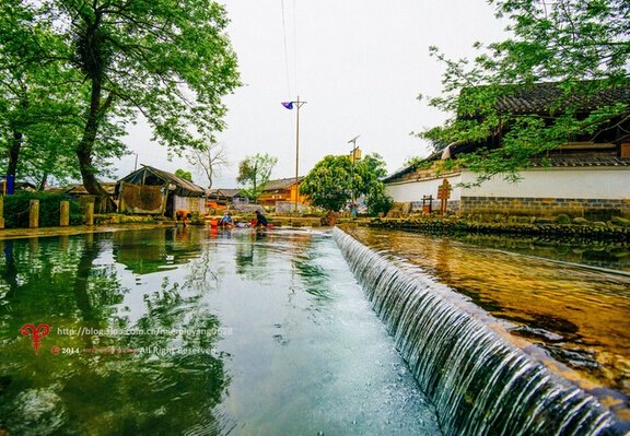 代办高额信用卡警惕风险 多银行称从未授权委