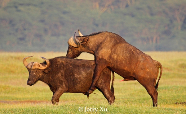 桂林搭建游船航运视频监控系统 覆盖漓江游览全程